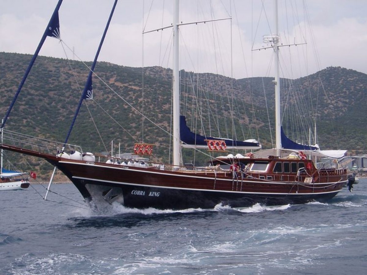 Galeo Yachting | Cobra King